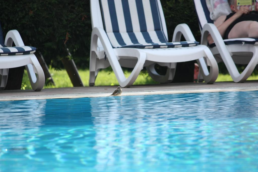 Residence Val Di Monte Malcesine Dış mekan fotoğraf